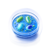 Microbiology Testing